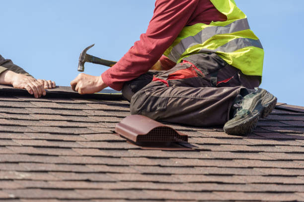 Best Roof Maintenance Services  in Waverly, IL