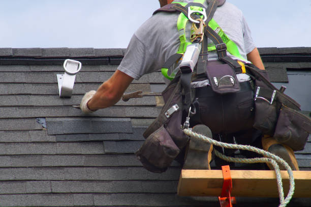 Best Commercial Roof Installation  in Waverly, IL