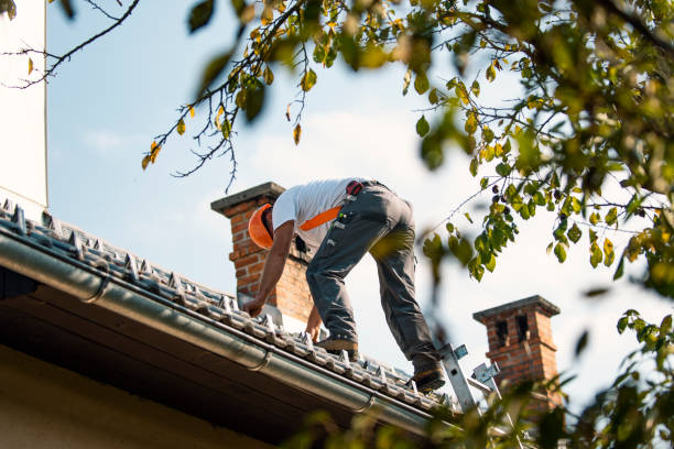 Quick and Trustworthy Emergency Roof Repair Services in Waverly, IL