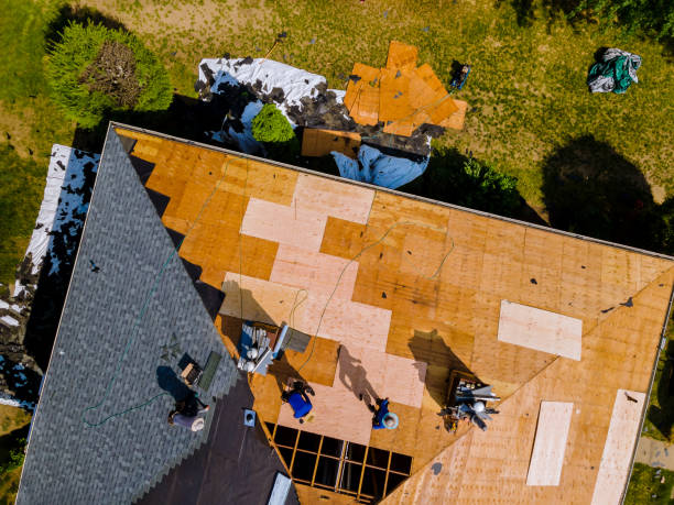 Best Residential Roofing Contractor  in Waverly, IL