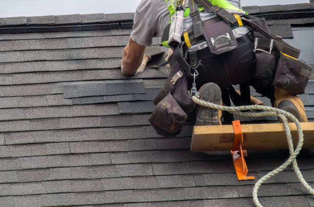 Best Metal Roofing Contractor  in Waverly, IL