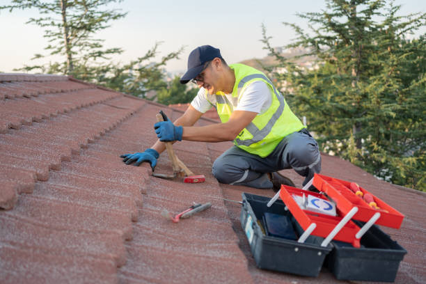 Best Roof Gutter Cleaning  in Waverly, IL