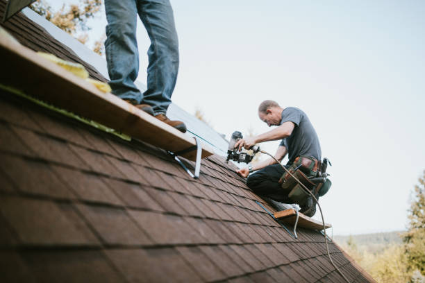 Best Storm Damage Roof Repair  in Waverly, IL