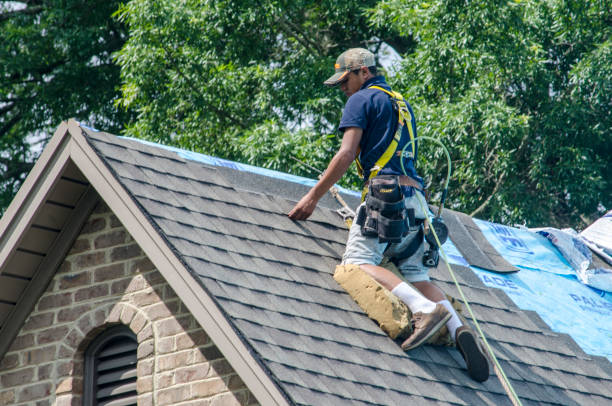 Best Roofing Contractor Near Me  in Waverly, IL
